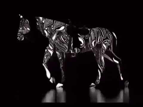 cuteanimalland giphyupload GIF