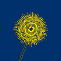 Loop Pamela Chougne GIF