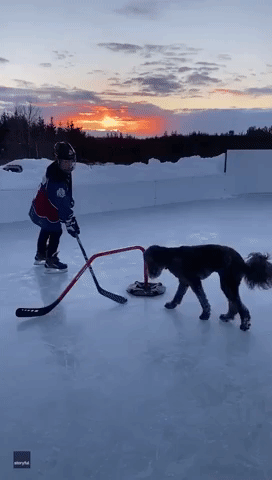 Ruff Play: Dog Carves It Up With Owner On the Ice