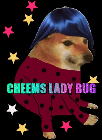 Revicheems giphygifmaker ladybug cheems cheemsladybug GIF