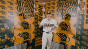 Baseball Bison GIF by NDSU Athletics