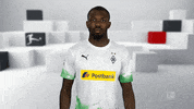 No Way What GIF by Bundesliga