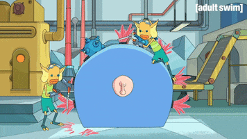 Season 2 Episode 208 GIF by Rick and Morty