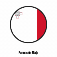 Flag Bandera GIF by Formación Ninja