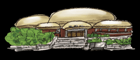 South Korea GIF by vank