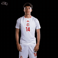 Fifa World Cup Tunisia GIF by Respective
