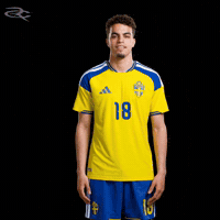 Fifa World Cup Uefa GIF by Respective