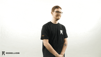 ShopifyRebellion rebellion dazzle shopify rebellion sr dazzle GIF