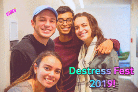 umichbli giphygifmaker giphyattribution celebration relax GIF