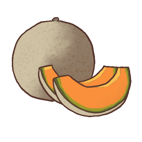 Cantaloupe Sticker