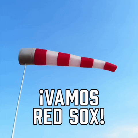 Vamos Red Sox GIF by Sealed With A GIF
