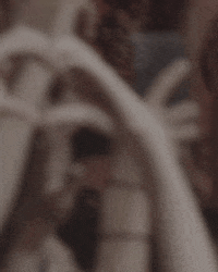 sonicseagirls music cool festival guitar GIF