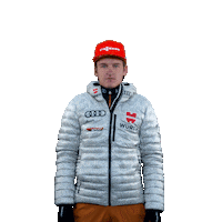 Julian Schmid Winter Sticker by Viessmann Sport