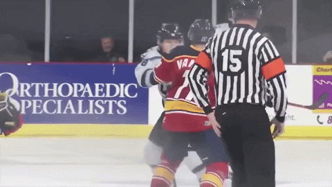 QCStorm giphyupload storm quad city quad city storm GIF