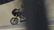 Brand Adventure GIF by Harley-Davidson