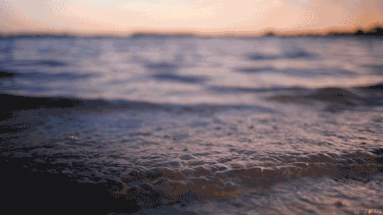 sunset waves GIF by Living Stills