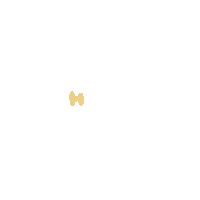 Happy Life Sticker