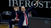 liga endesa basketball GIF by ACB