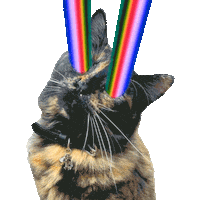 Rainbow Cats Sticker