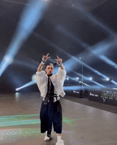 Stray Kids Skz GIF