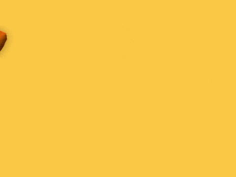 giphy.gif