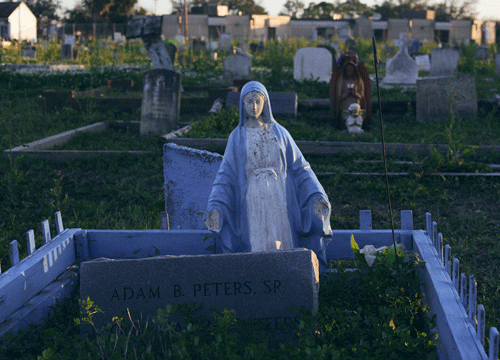 new orleans animation GIF by Liaizon Wakest