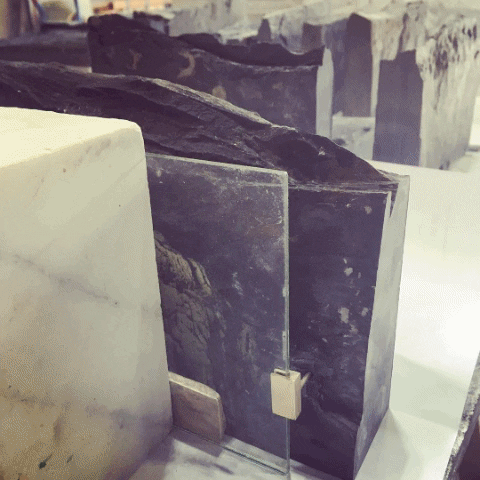 stevebisson giphygifmaker isabel devos GIF