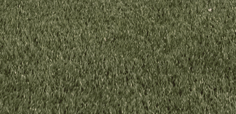 Womens Lacrosse GIF by Lafayette Leopards