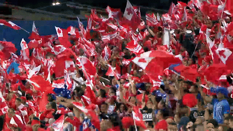 world cup league GIF by NRL