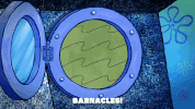 season 9 episode 3 GIF by SpongeBob SquarePants