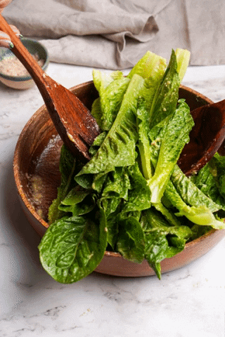 gerzsenyiflra giphygifmaker GIF