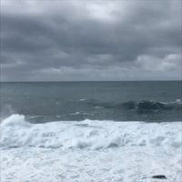 Boarder Knocked by Huge Wave in Sydney