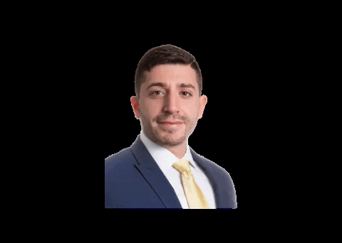 TestaniTeam giphygifmaker vito GIF