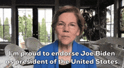 Elizabeth Warren GIF