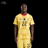 Fifa World Cup Ghana GIF by Respective