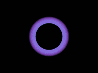 art yolo GIF by Bryan Unger