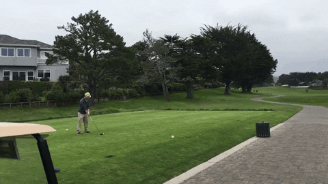 jonmorley giphyupload GIF