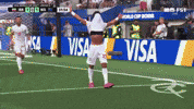 Fifa World Cup Iran GIF by Respective