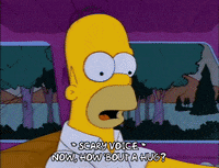 homer simpson wtf GIF