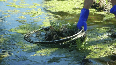 River Reaction GIF by Bay Ledges