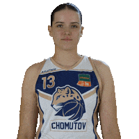 Basketball Sticker by Levharti
