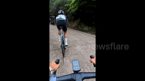 Insight_video giphyupload GIF