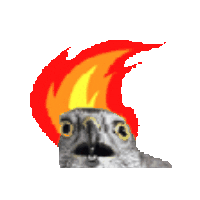Fire Hawk Sticker by The Beatcast