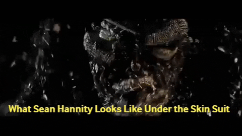 sean hannity bug GIF