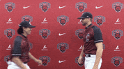 Baseball Wildcats GIF by CWU Athletics