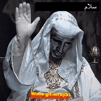 Dz Mems GIF
