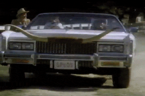 spuds mackenzie dog GIF