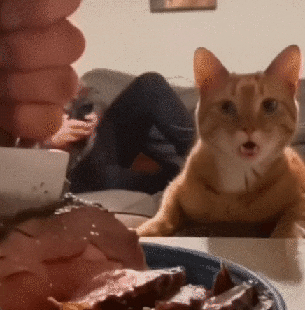swanjun30 giphyupload GIF