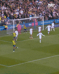 West Brom Wba GIF by West Bromwich Albion