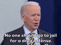 Joe Biden GIF by GIPHY News